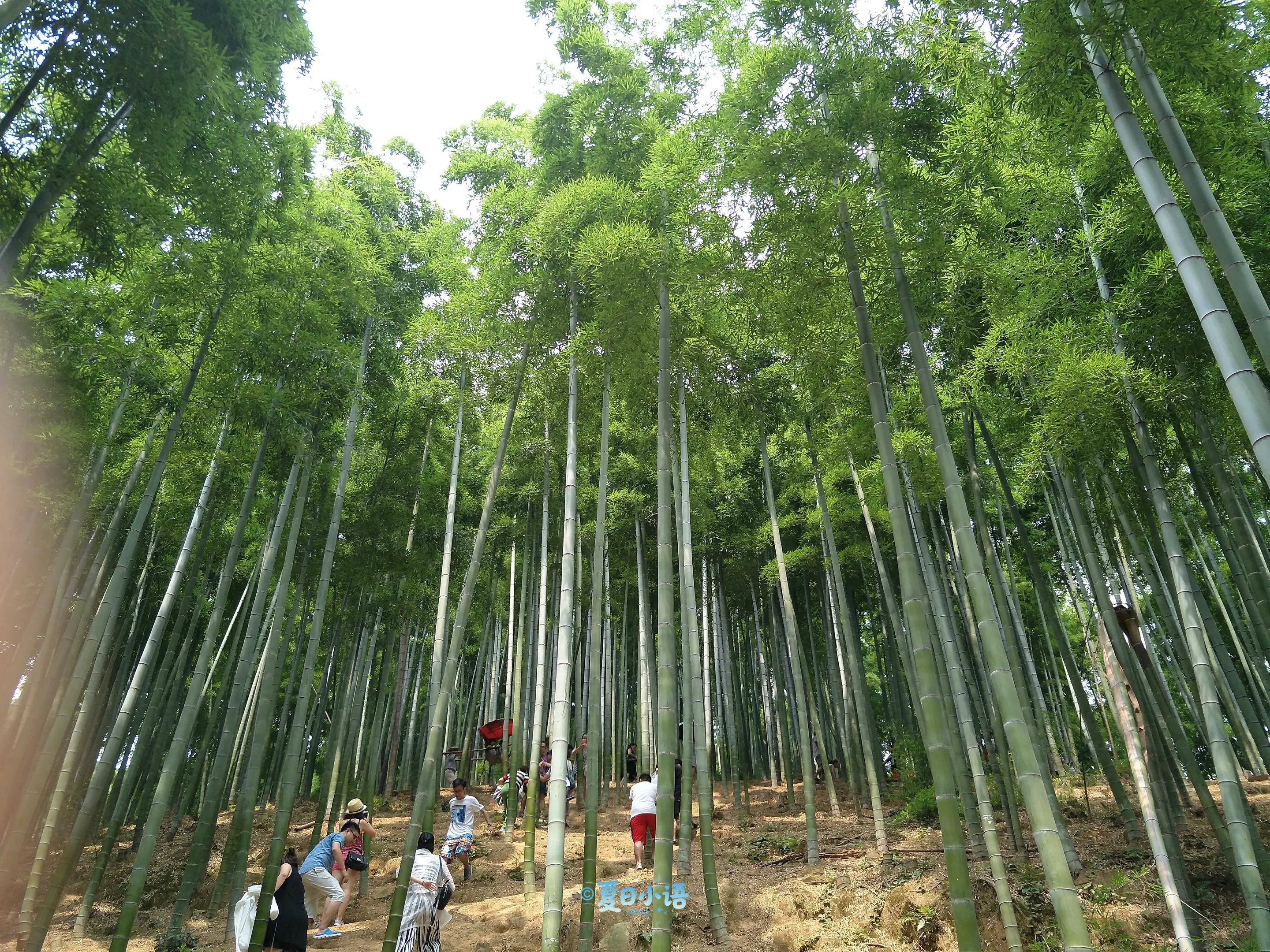 2016-湖州